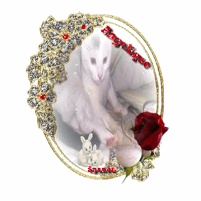 aNGELIQUE